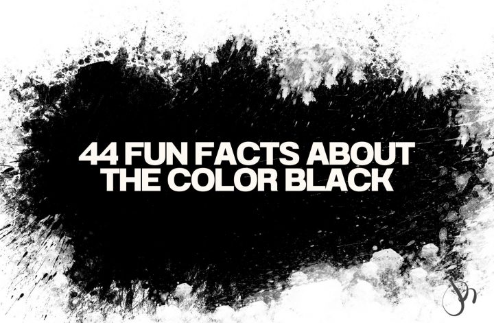fun facts about the color black
