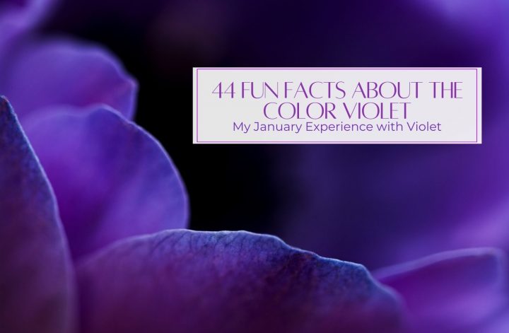 fun facts about color violet and purple